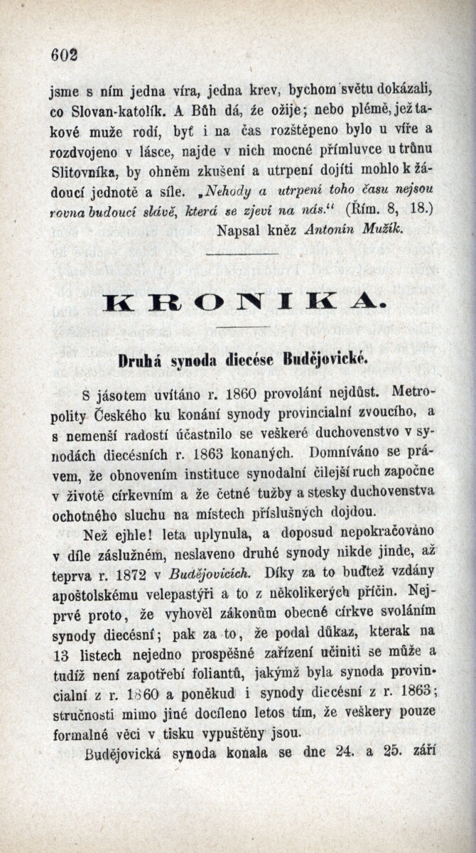 Strnka 184953