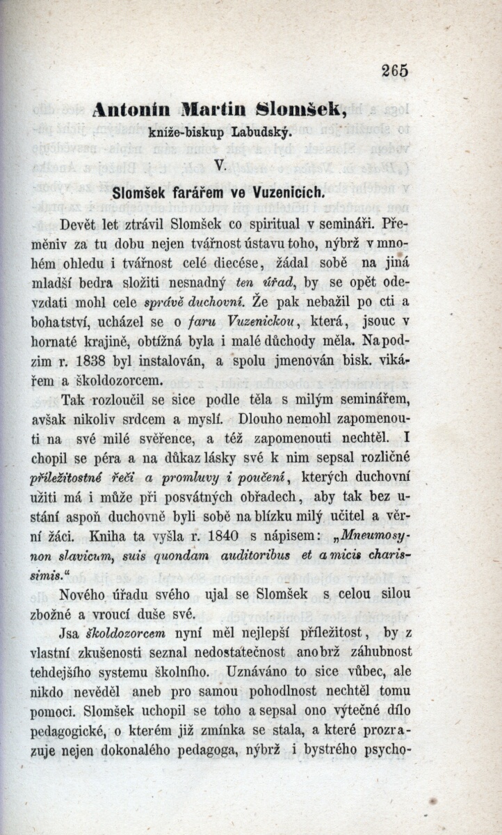 Strnka 184616